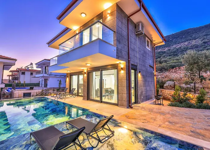 Elit Vista -